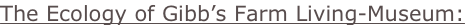 shapeimage_7_link_0