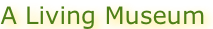 shapeimage_7_link_1
